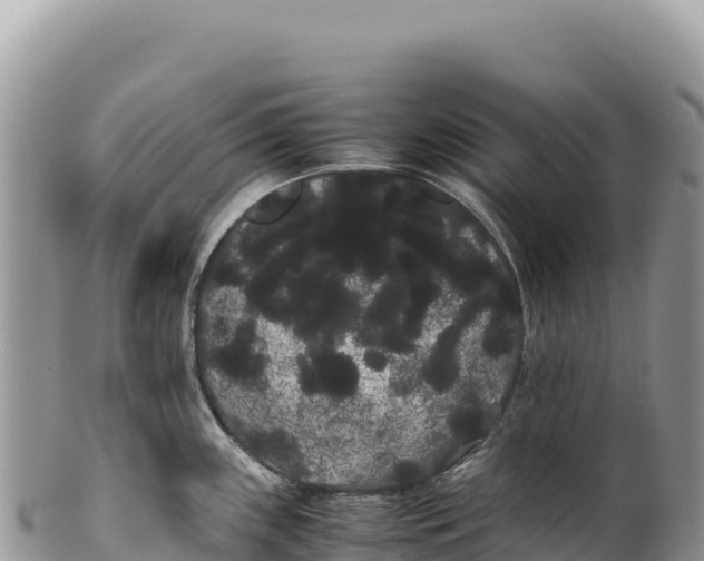 X0000100221243200806201500