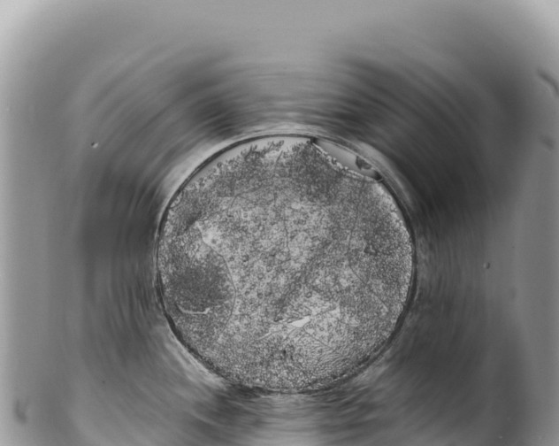 X0000100221244200806201500