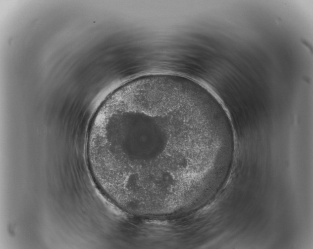 X0000100221245200806201500