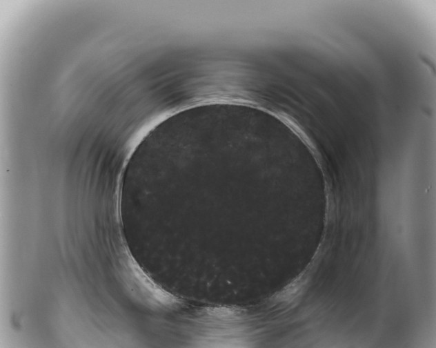 X0000100221246200806201500