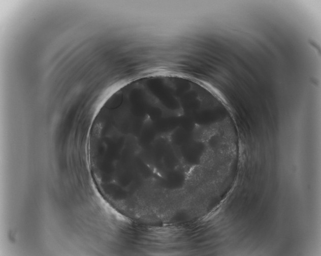 X0000100221247200806201500