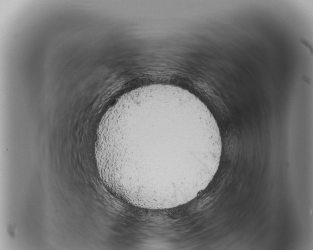 X0000100221249200806201500