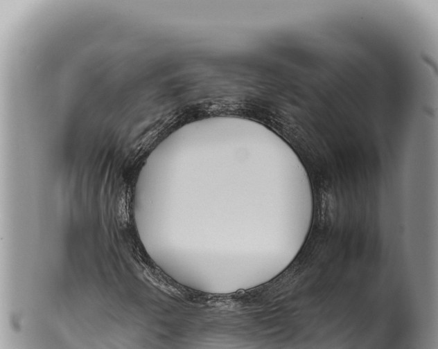 X0000100221250200806201459