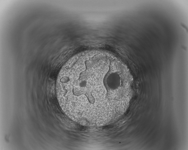 X0000100221251200806201459