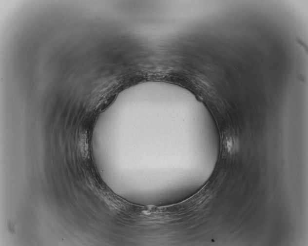 X0000100221252200806201459