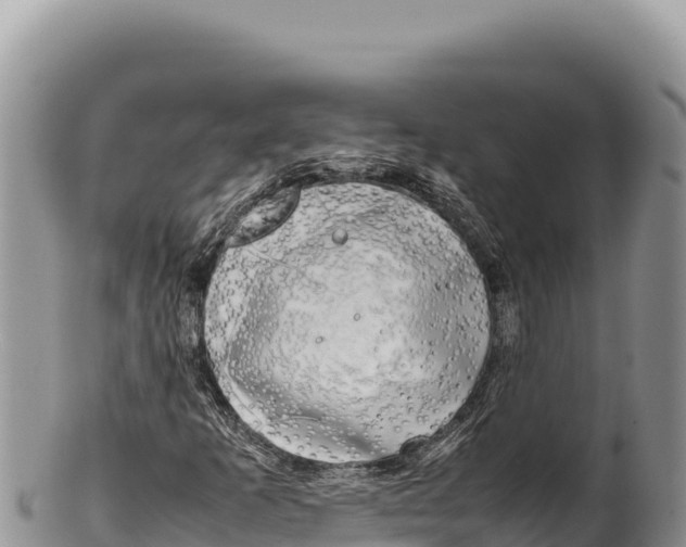 X0000100221253200806201459