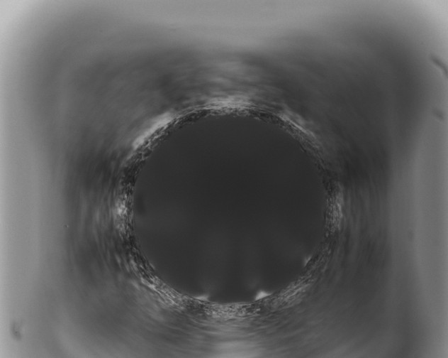 X0000100221254200806201459