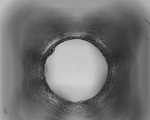 X0000100221256200806201459