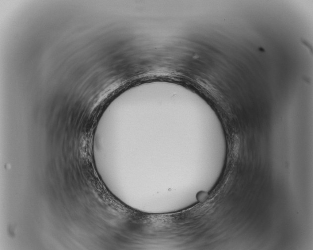 X0000100221258200806201459