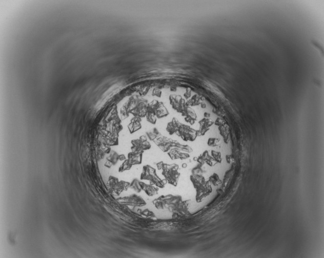 X0000100221259200806201459