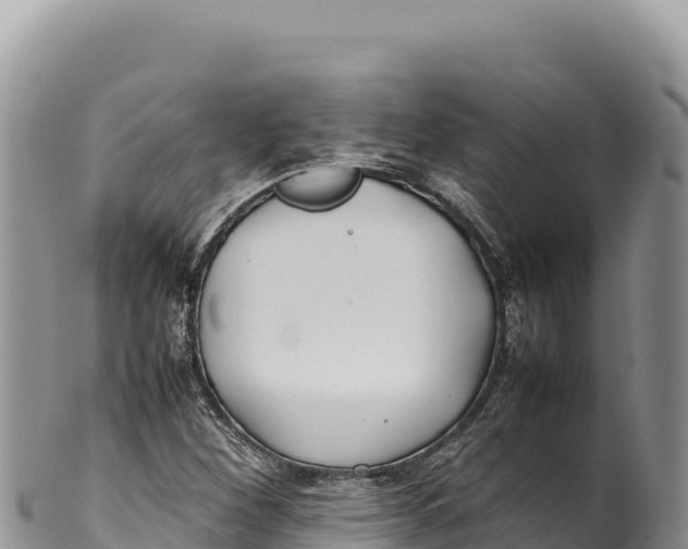 X0000100221260200806201459