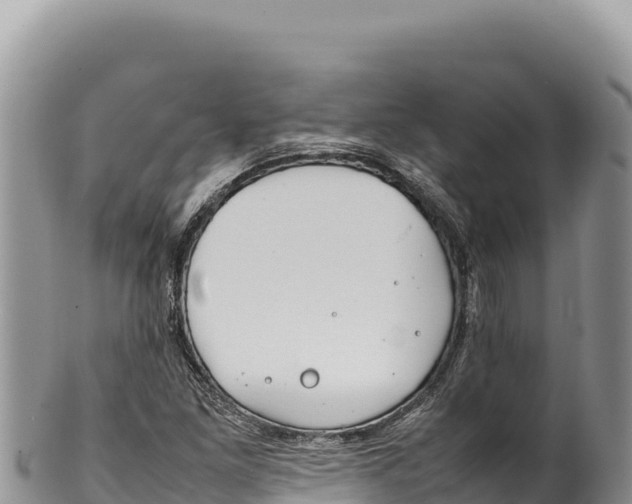 X0000100221261200806201459