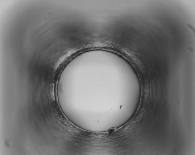 X0000100221262200806201459