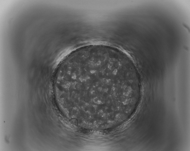 X0000100221263200806201459