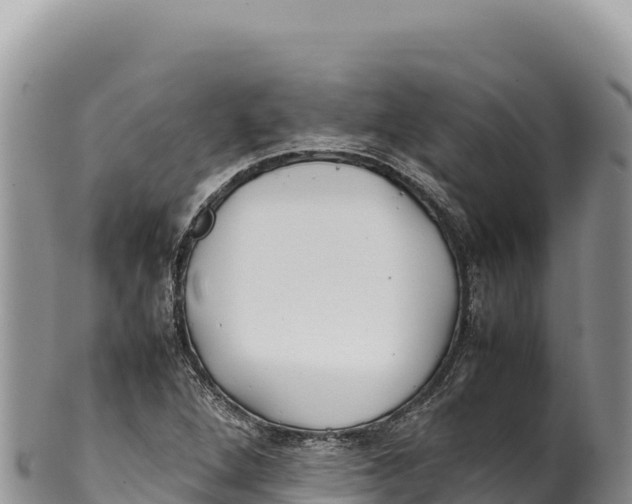 X0000100221264200806201459