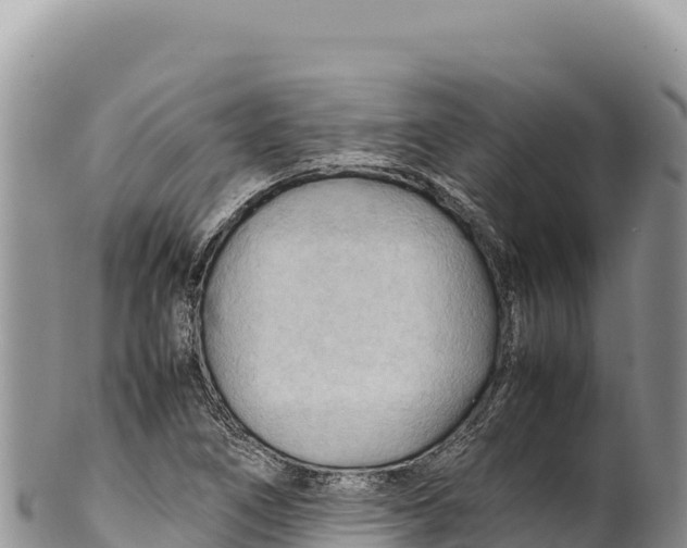 X0000100221266200806201459