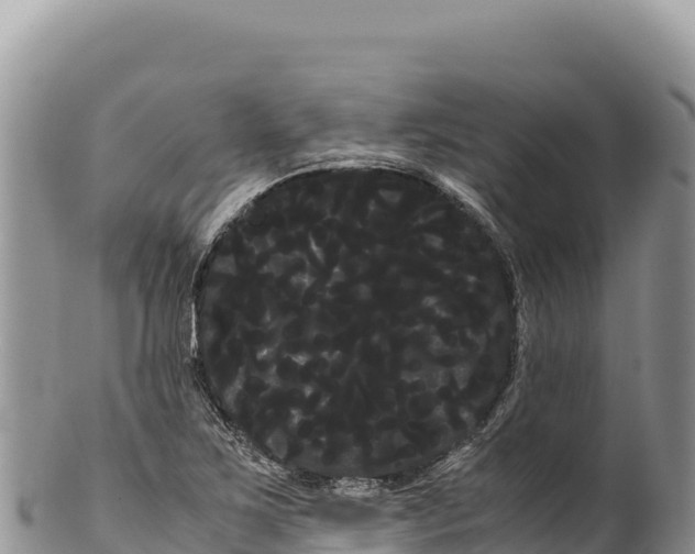 X0000100221267200806201459