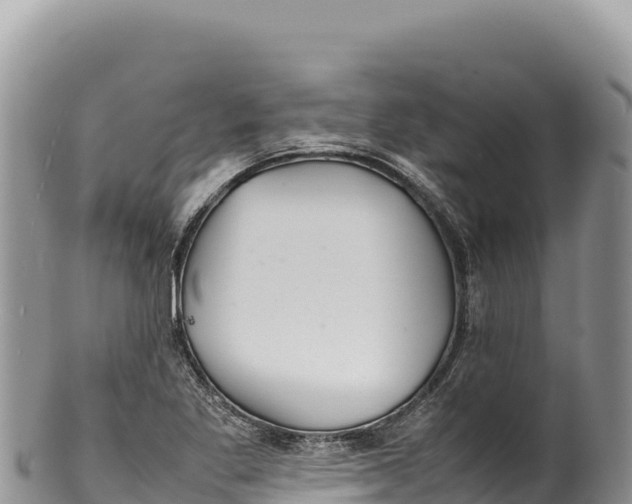 X0000100221269200806201459