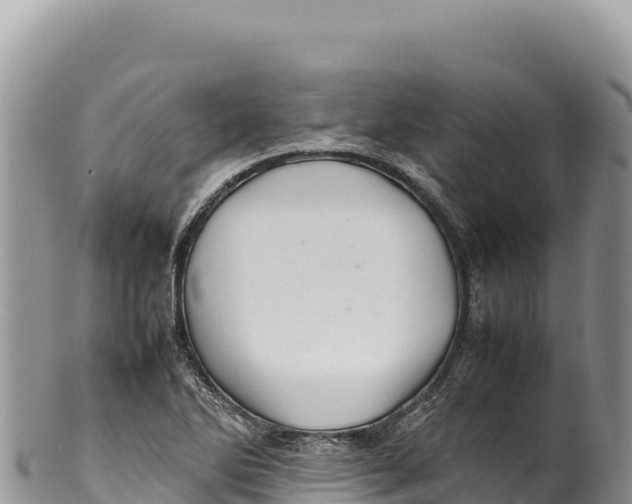 X0000100221270200806201459