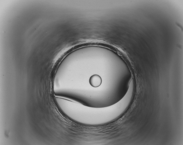 X0000100221271200806201459