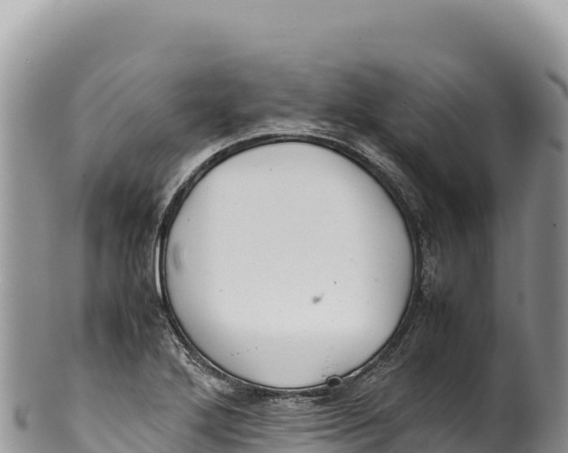 X0000100221272200806201459