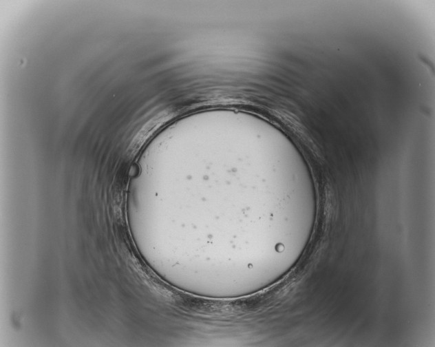 X0000100221273200806201459