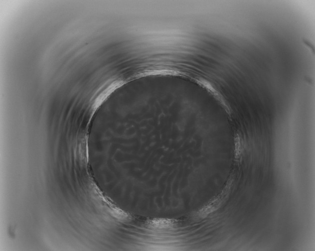 X0000100221274200806201459