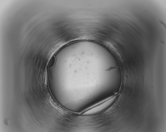 X0000100221276200806201459