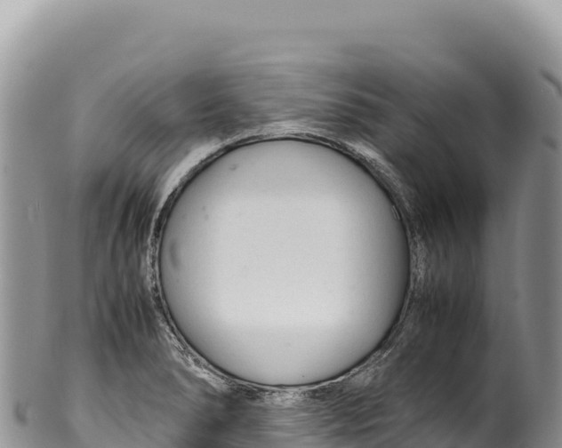 X0000100221278200806201459