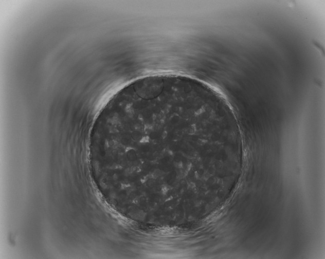 X0000100221279200806201459