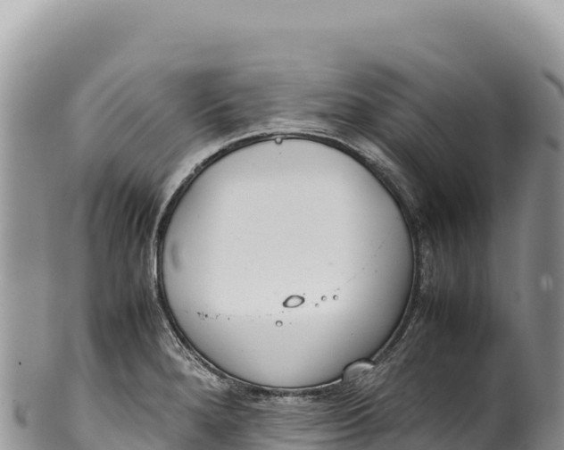 X0000100221280200806201459