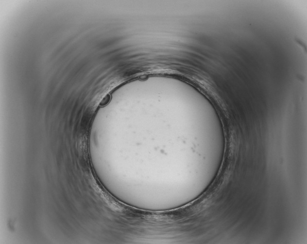 X0000100221281200806201459