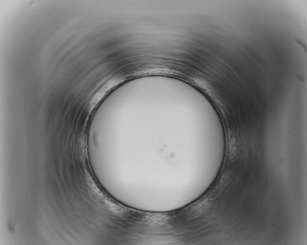 X0000100221282200806201459