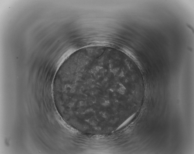 X0000100221283200806201459