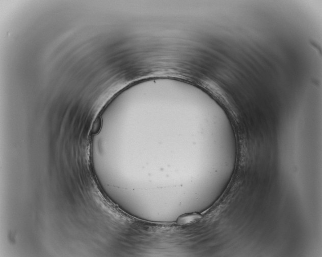 X0000100221284200806201459