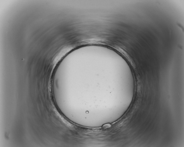 X0000100221285200806201459