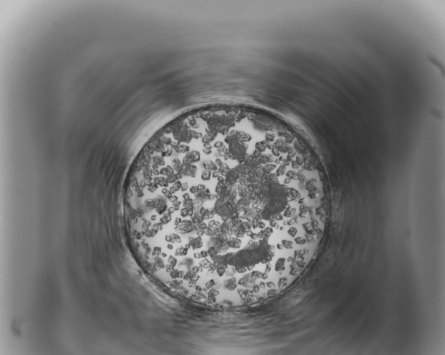 X0000100221287200806201459