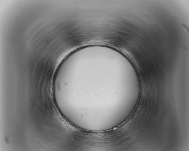 X0000100221288200806201459