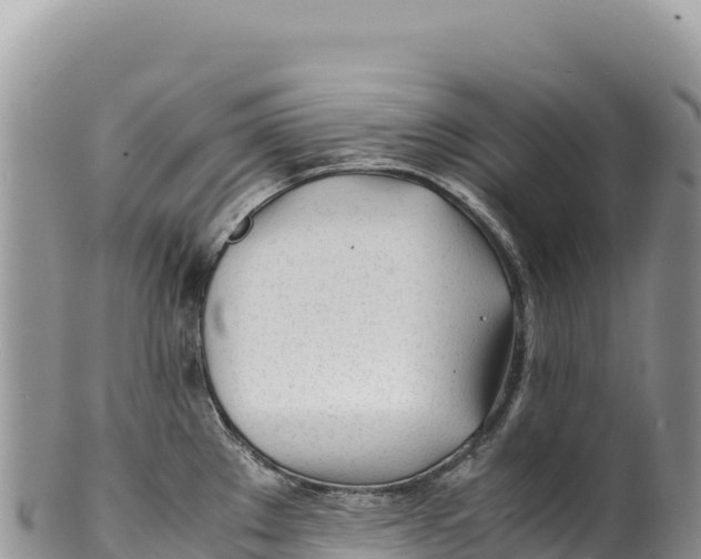 X0000100221289200806201459