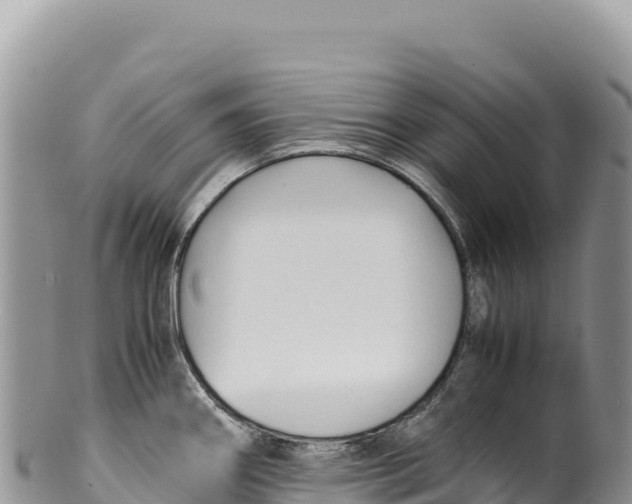 X0000100221290200806201459