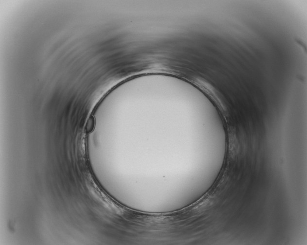 X0000100221292200806201459