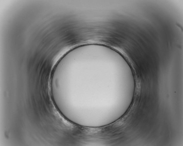 X0000100221294200806201459