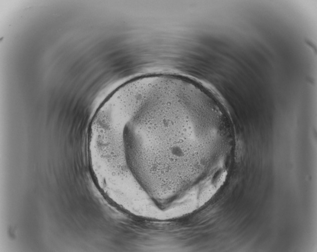 X0000100221295200806201459