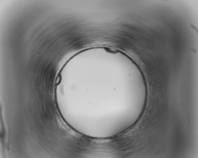 X0000100221296200806201459