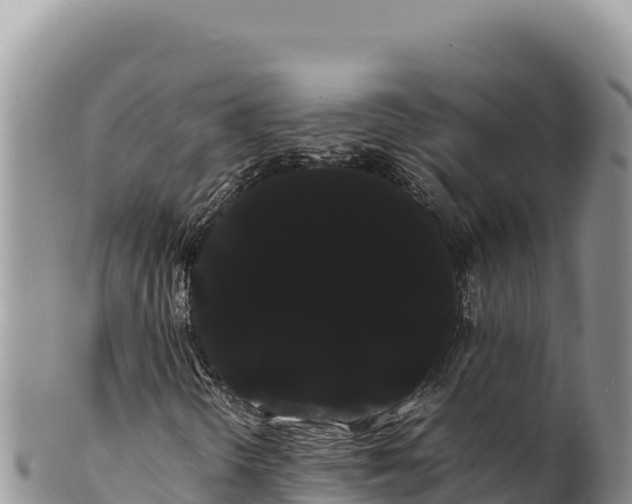 X0000100221298200806201458