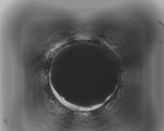 X0000100221303200806201458