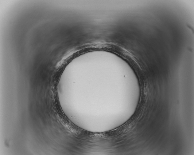 X0000100221304200806201458