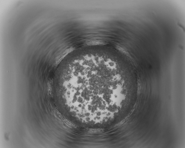 X0000100221305200806201458