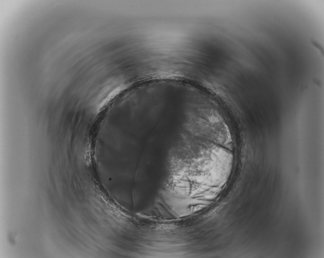 X0000100221306200806201458