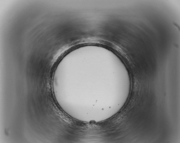 X0000100221312200806201458